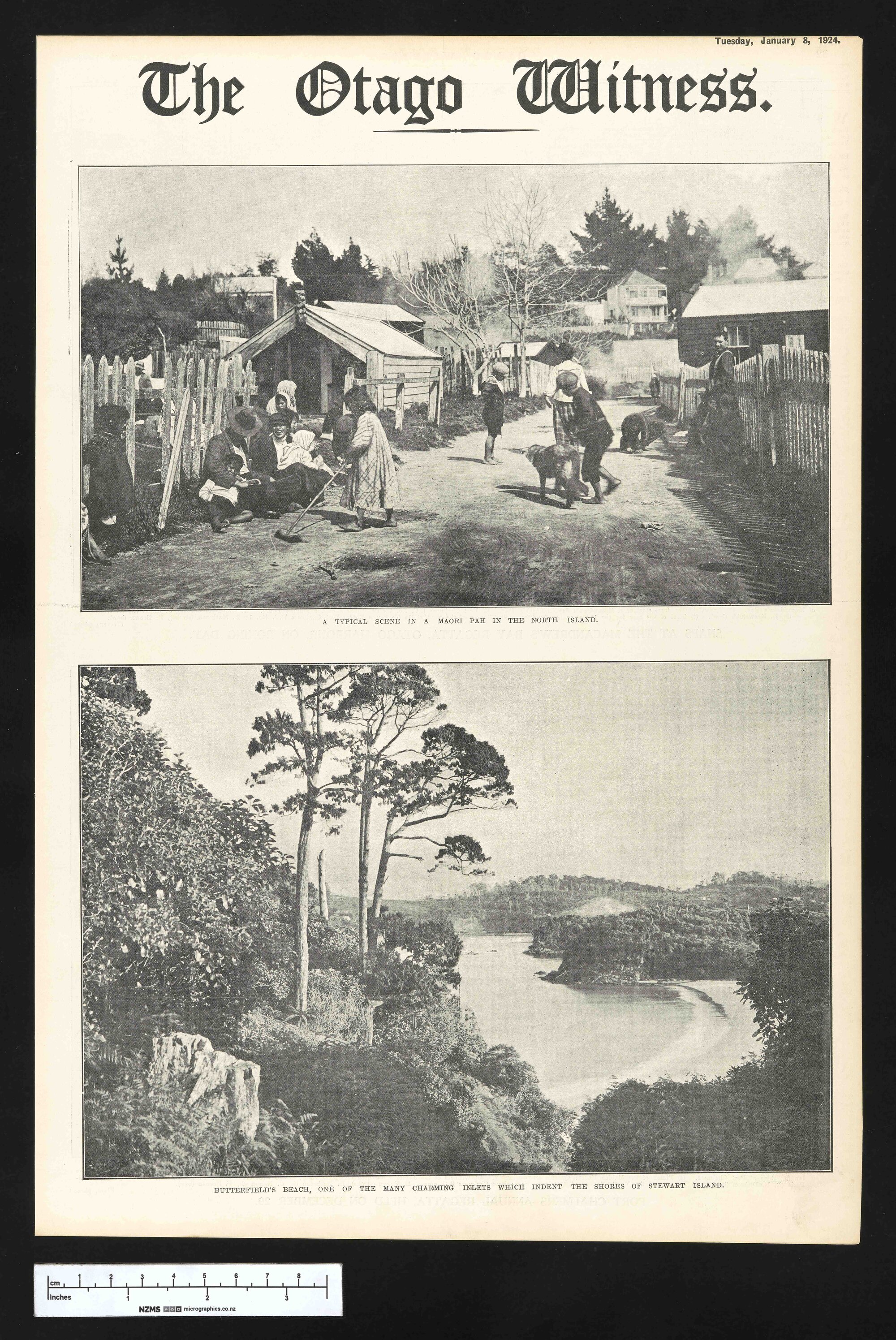 1924-01-08 Otago Witness