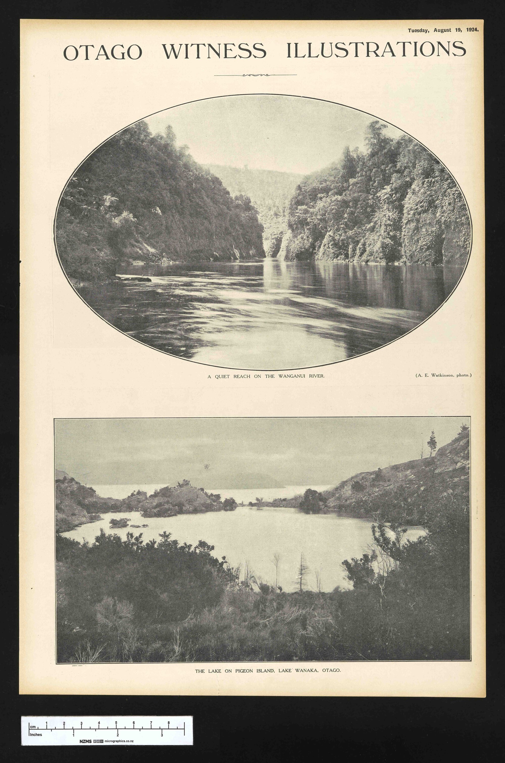 1924-08-19 Otago Witness