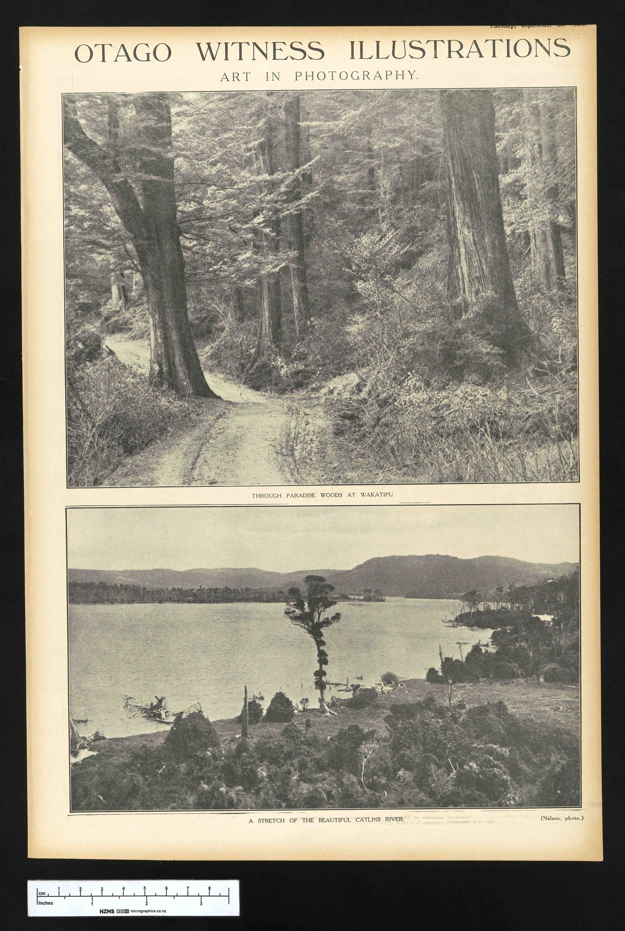 1924-09-23 Otago Witness