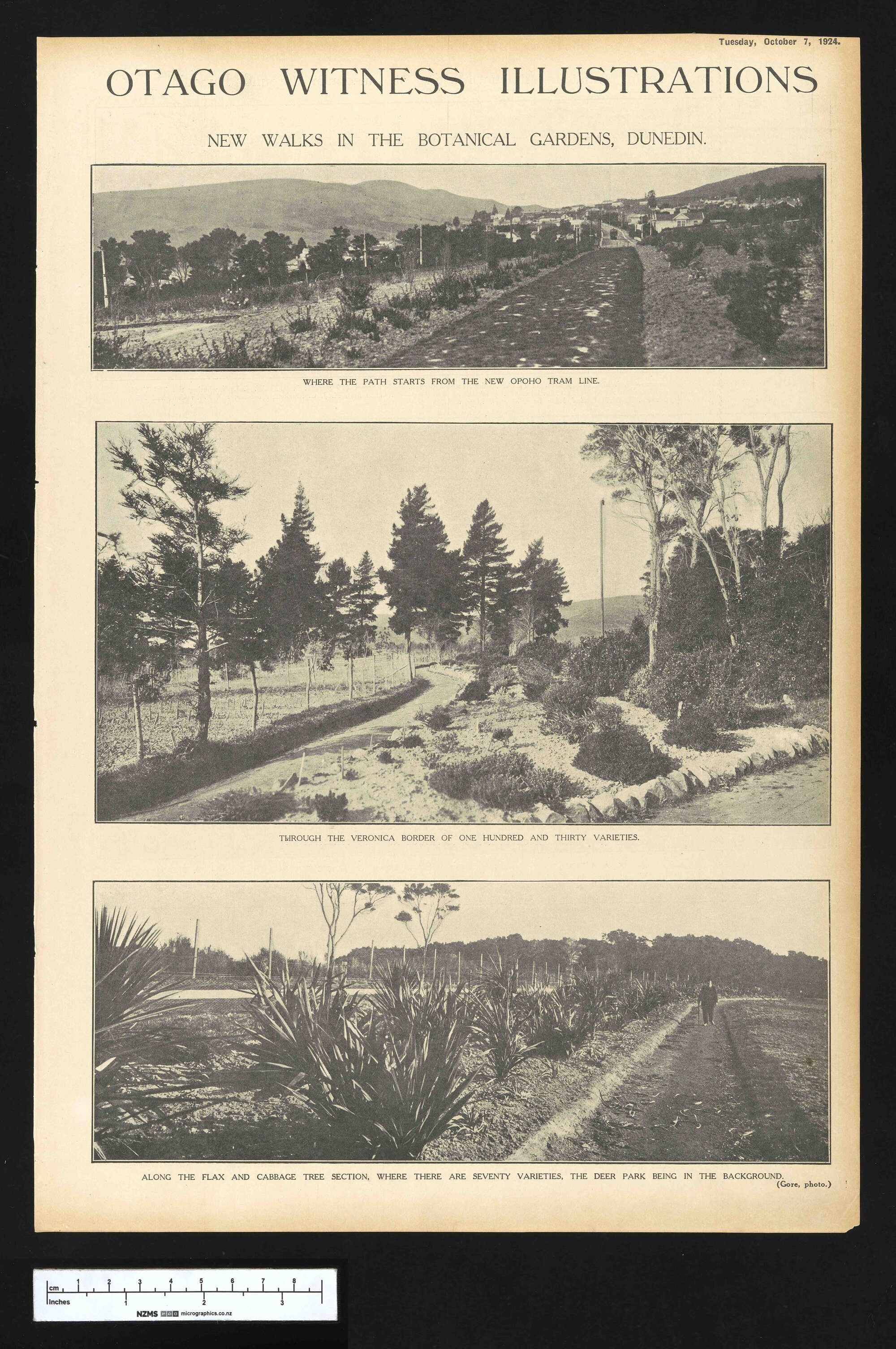 1924-10-07 Otago Witness