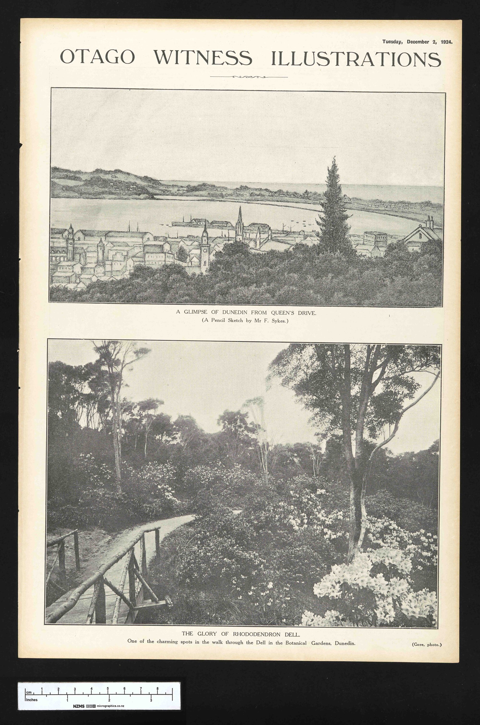 1924-12-02 Otago Witness