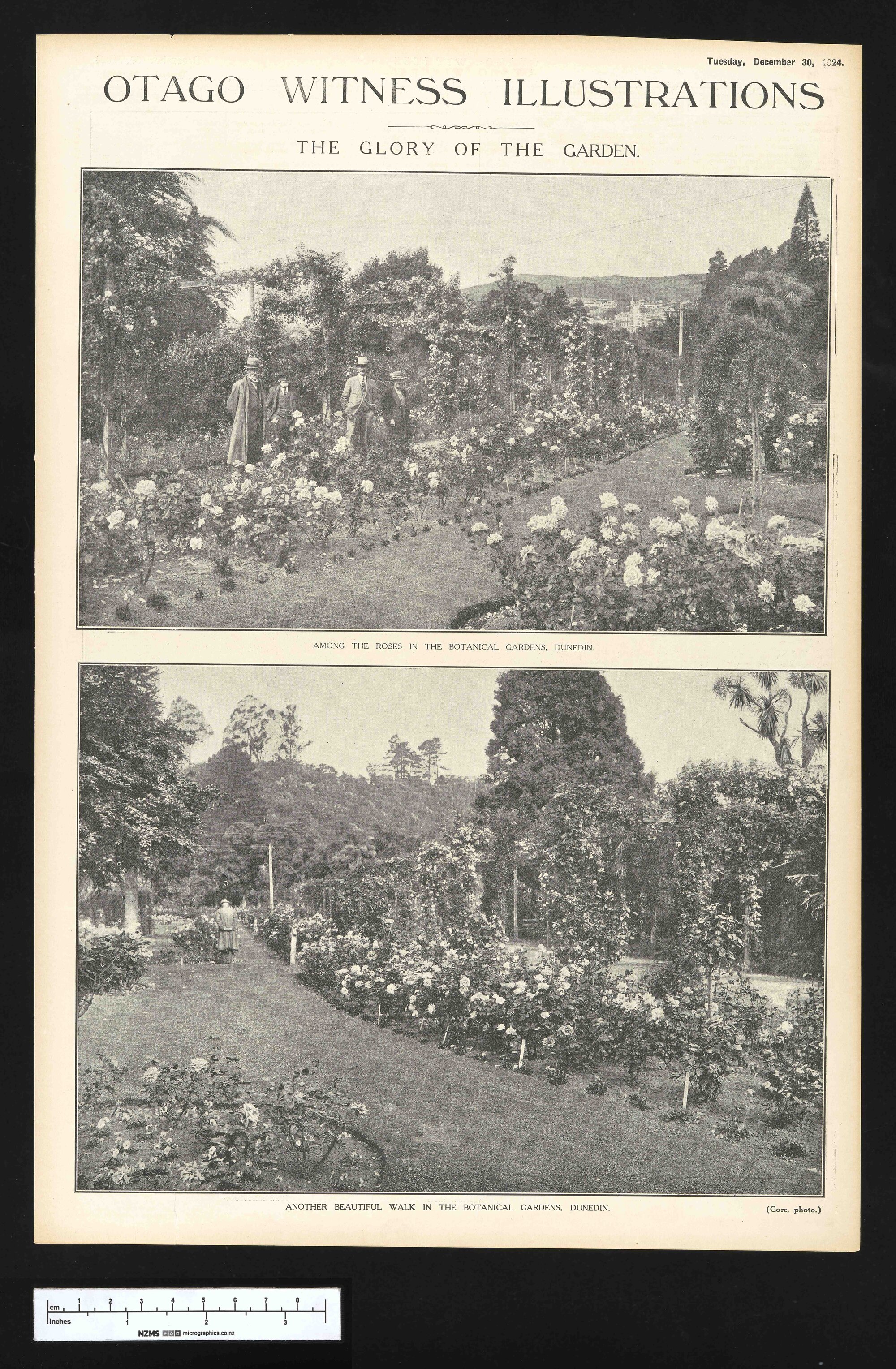 1924-12-30 Otago Witness