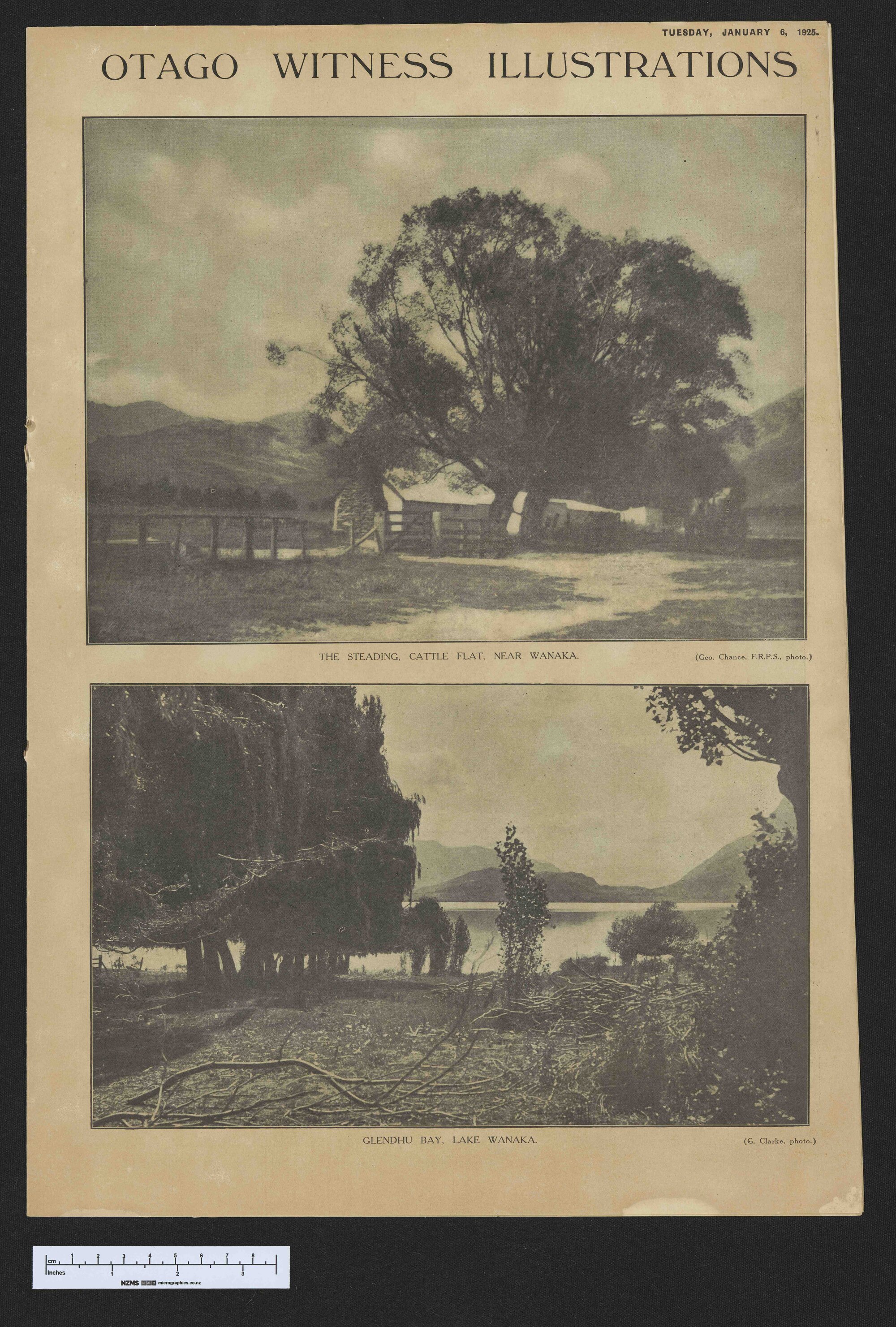 1925-01-06 Otago Witness
