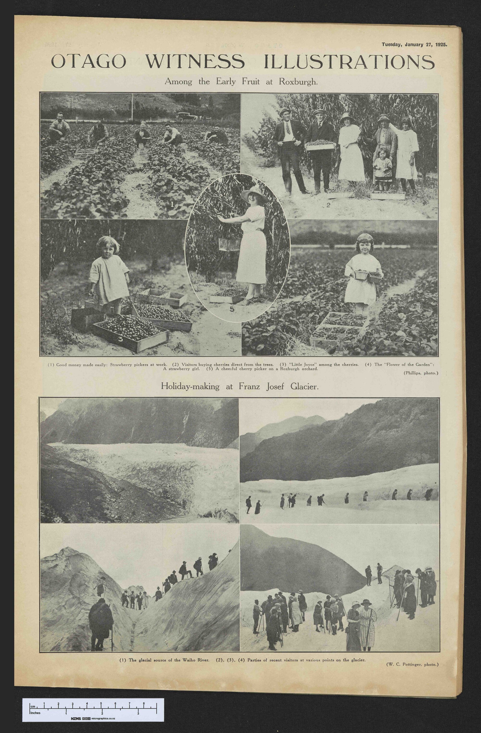 1925-01-27 Otago Witness