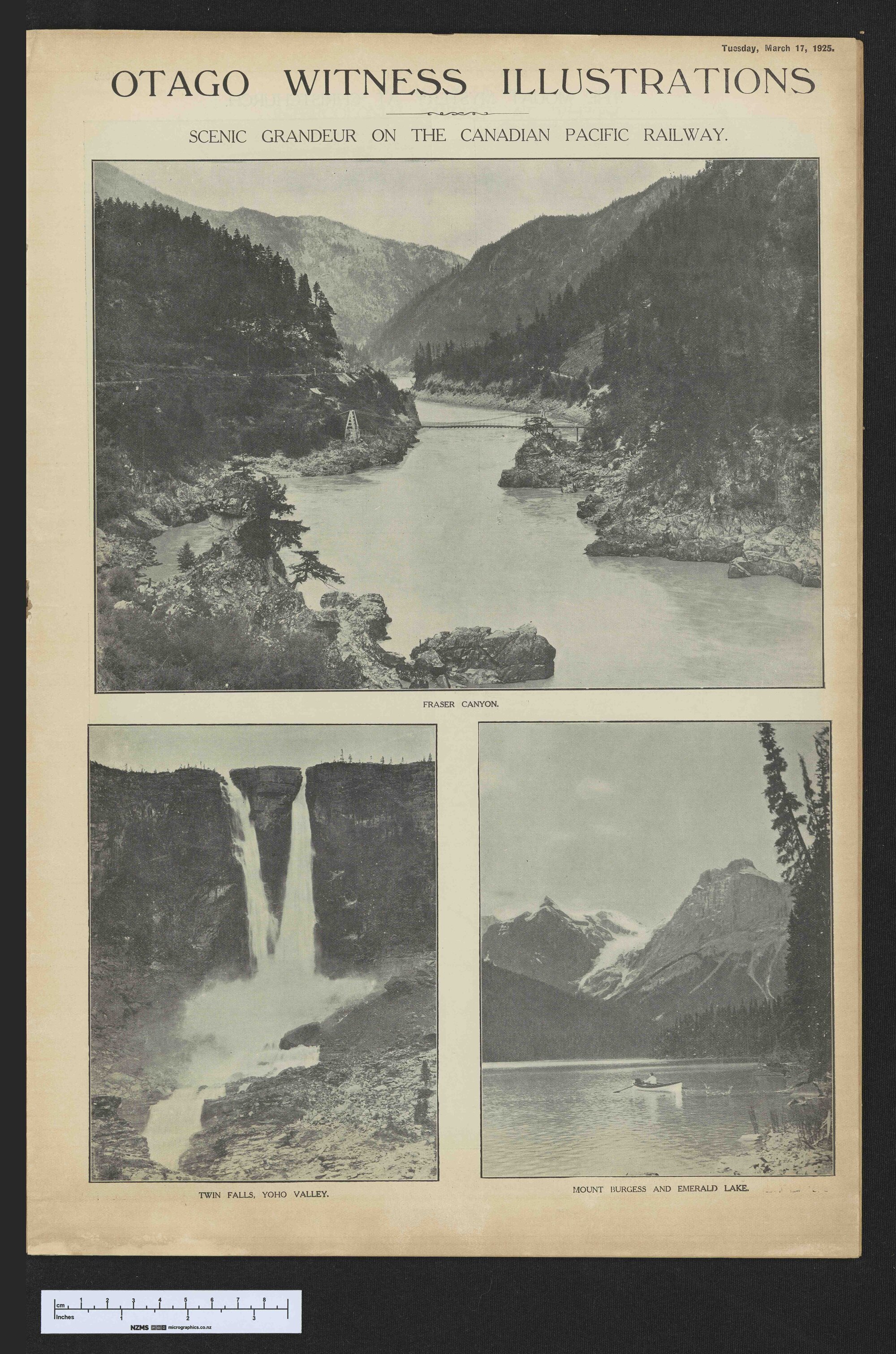 1925-03-17 Otago Witness