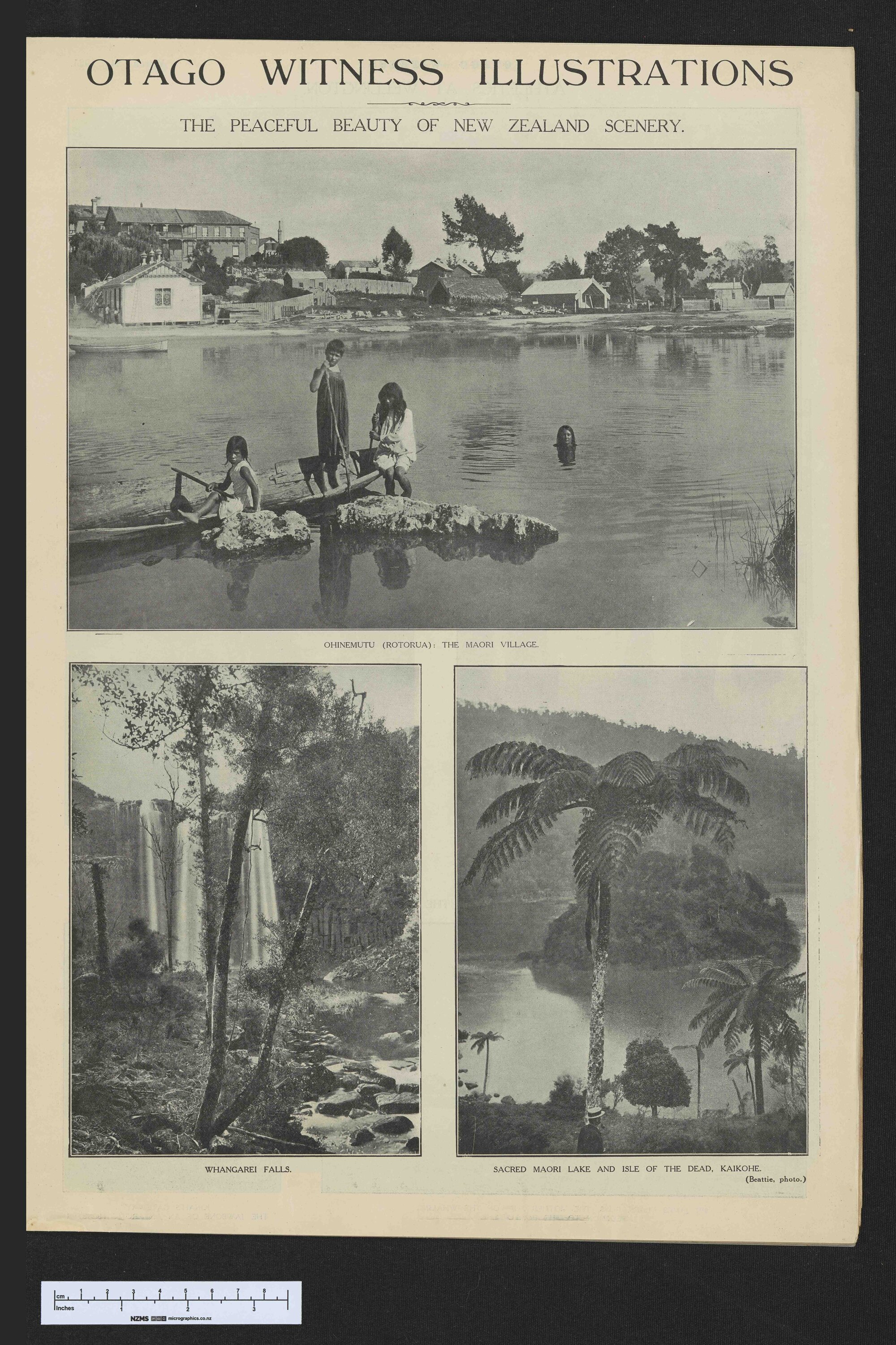 1925-03-24 Otago Witness