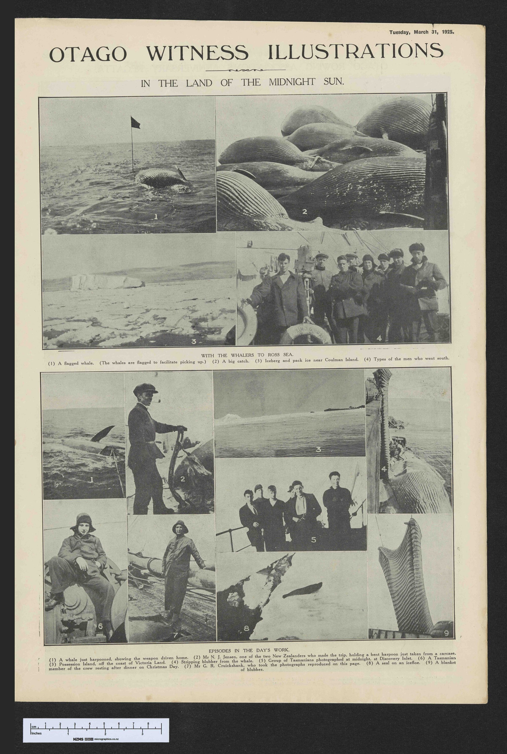 1925-03-31 Otago Witness