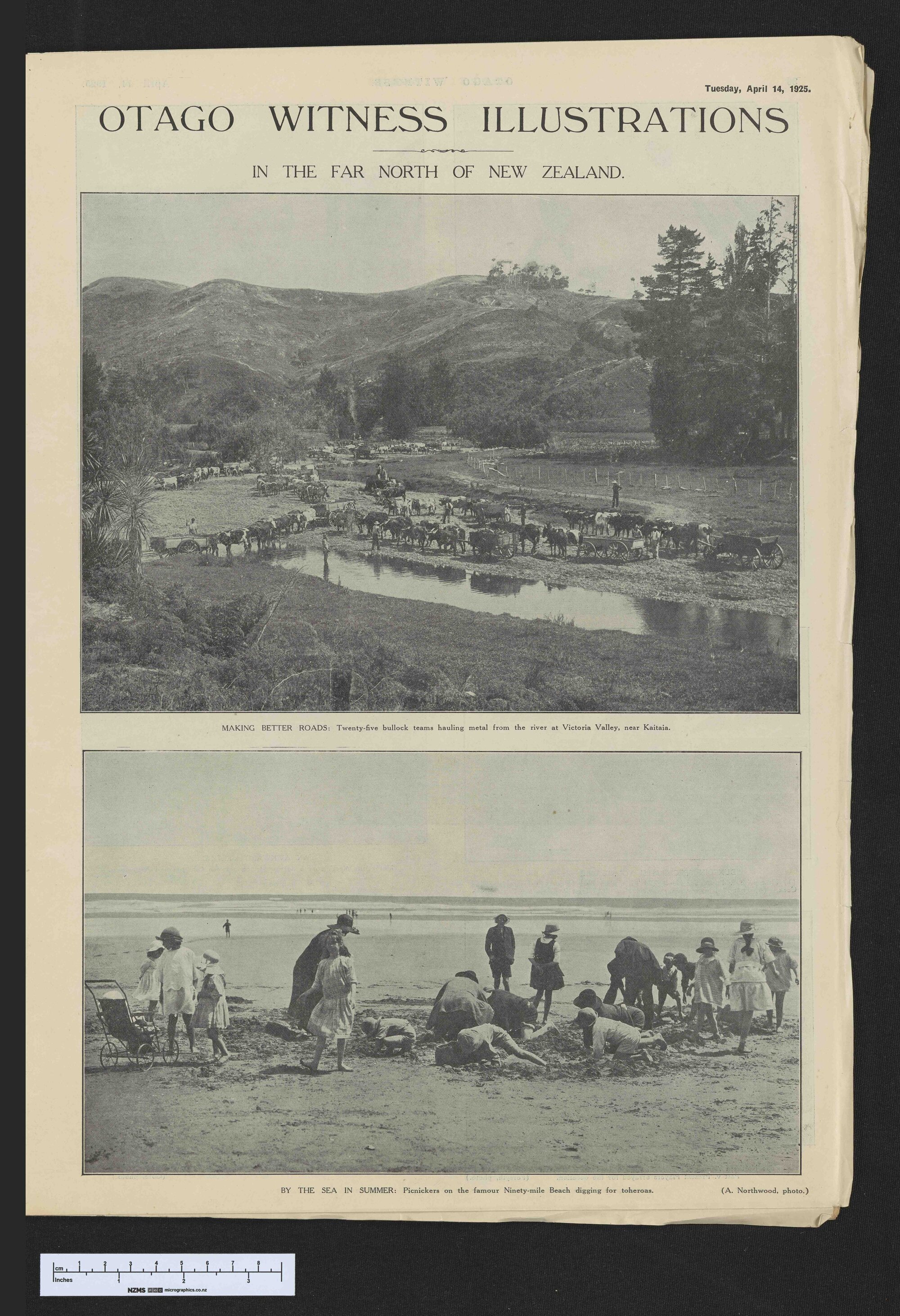 1925-04-14 Otago Witness