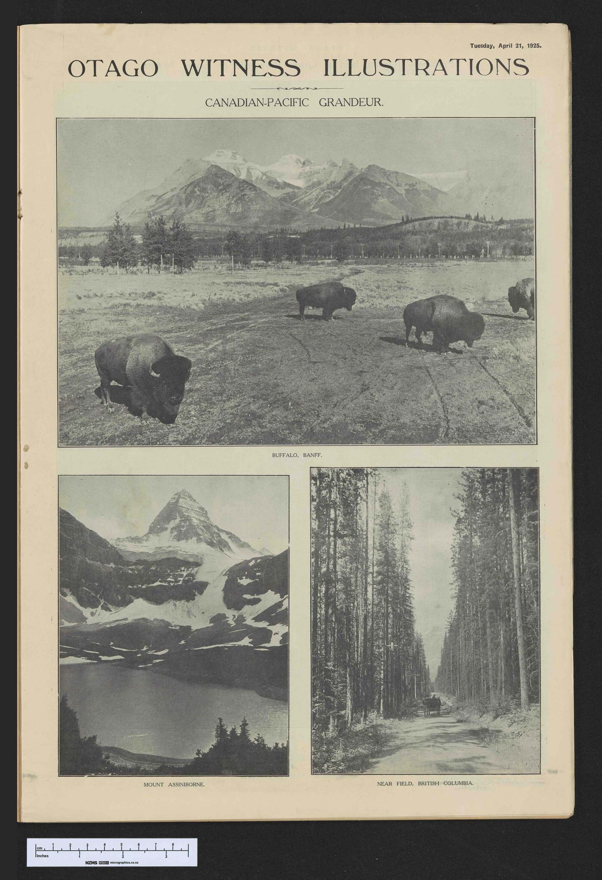 1925-04-21 Otago Witness