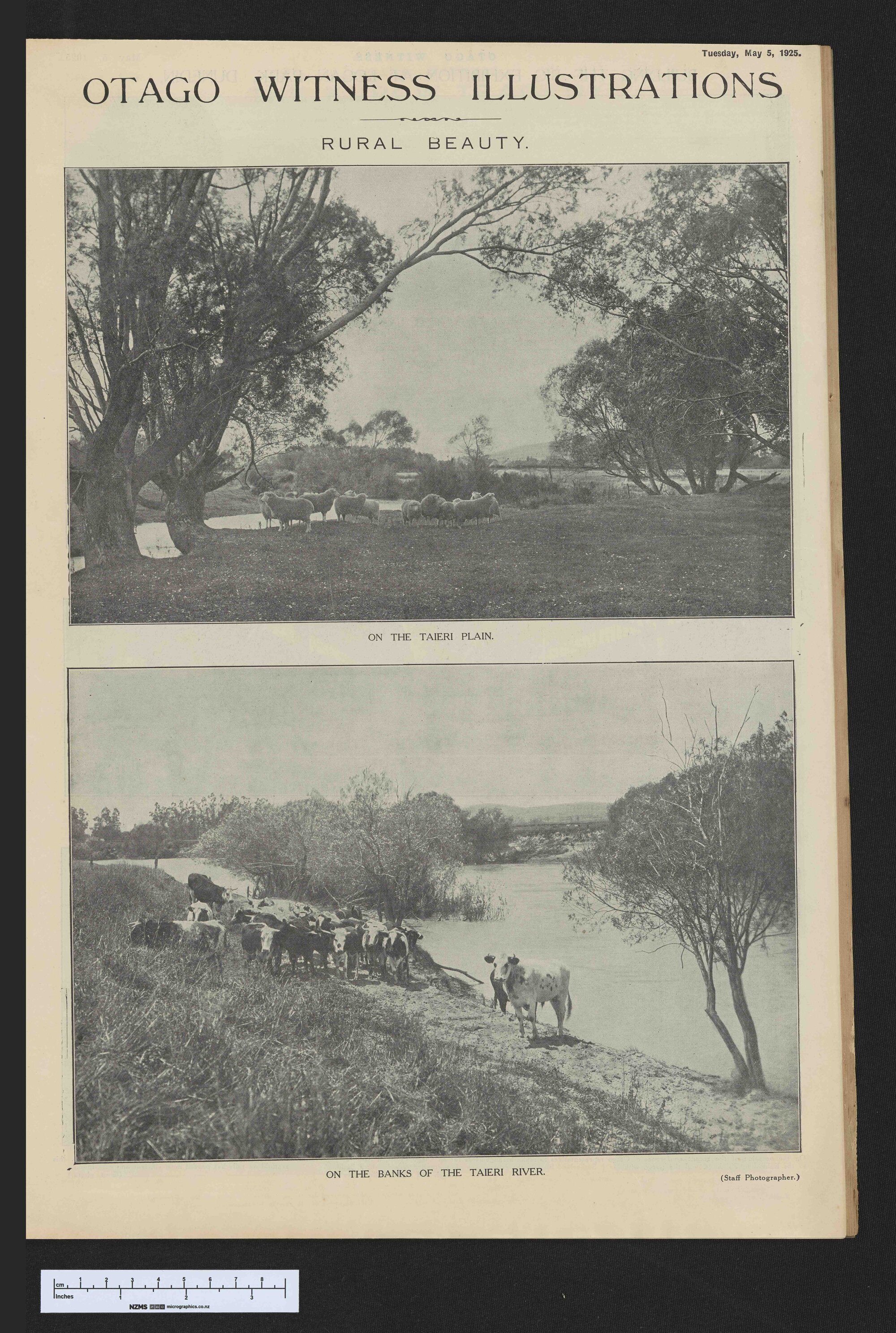 1925-05-05 Otago Witness