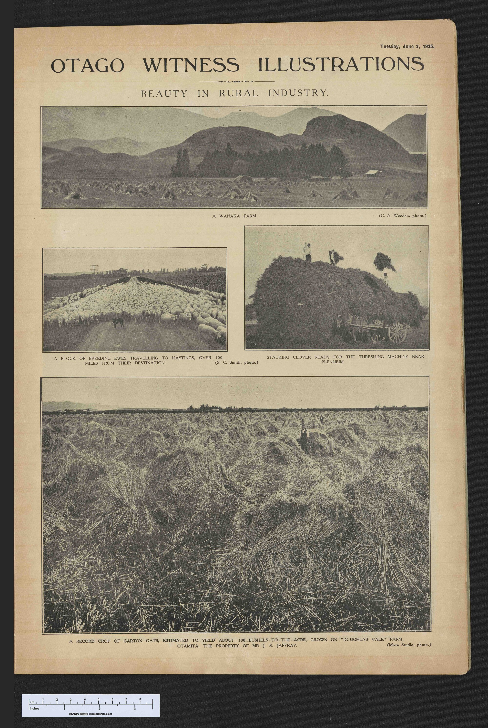 1925-06-02 Otago Witness