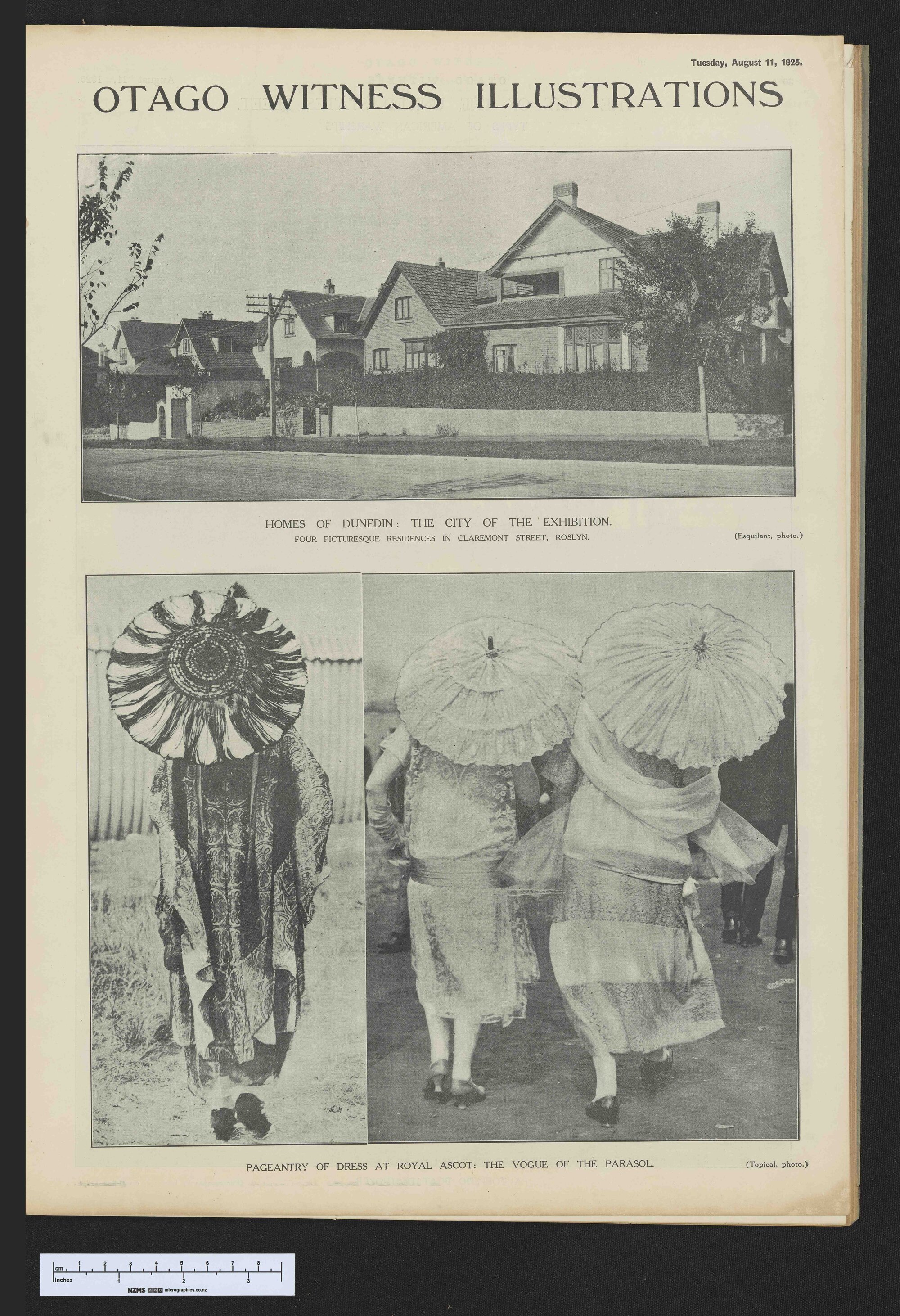 1925-08-11 Otago Witness