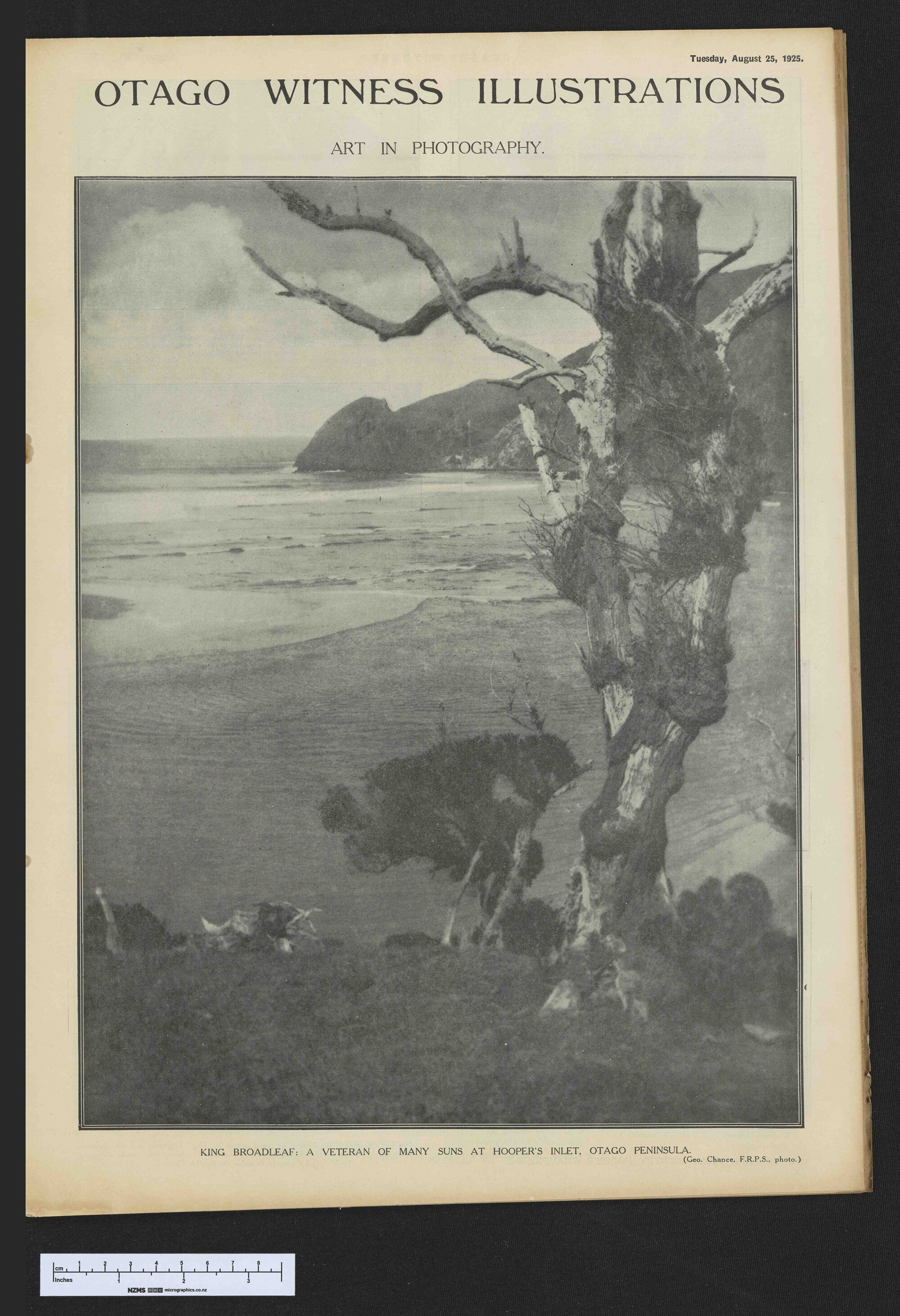 1925-08-25 Otago Witness