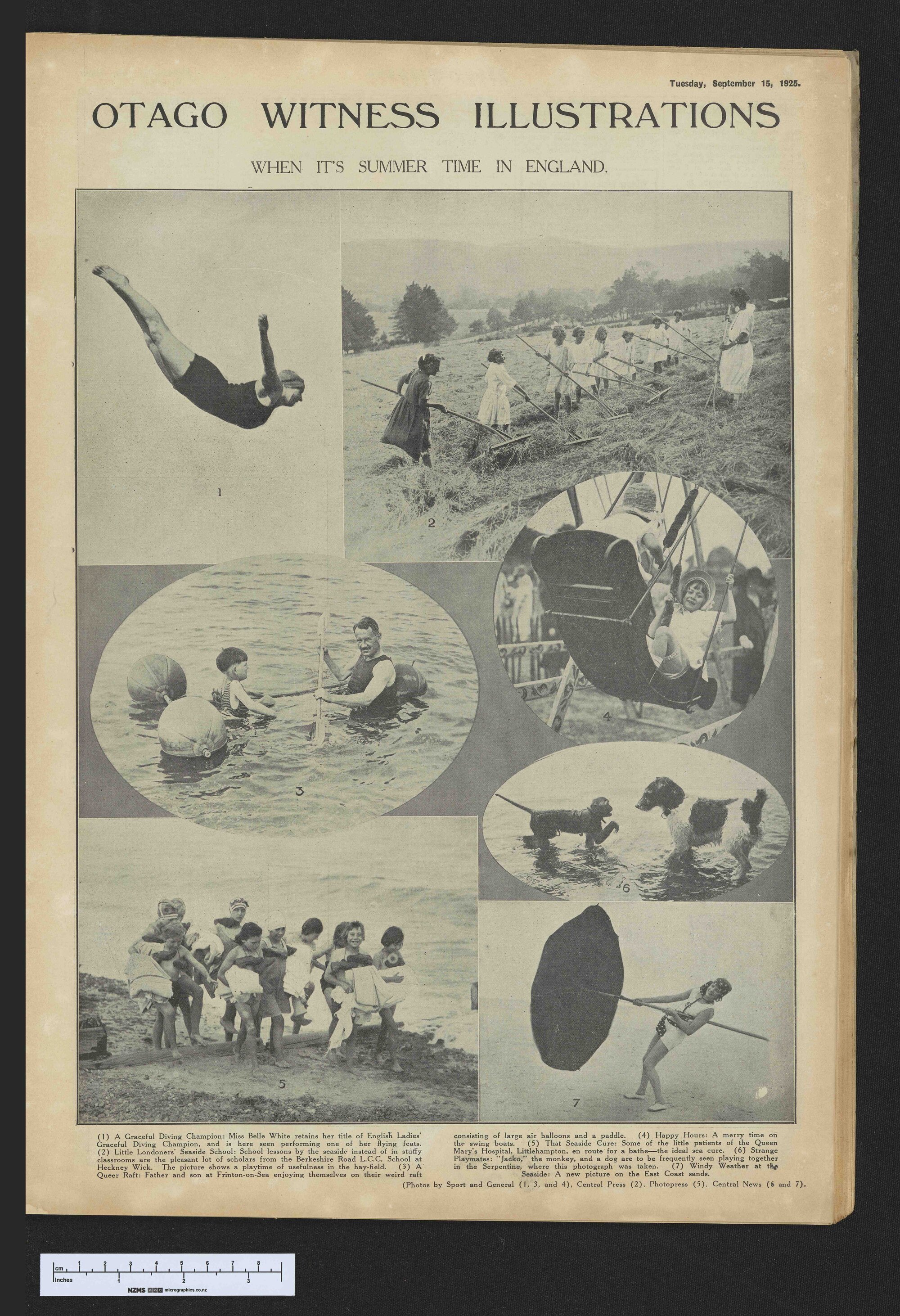 1925-09-15 Otago Witness