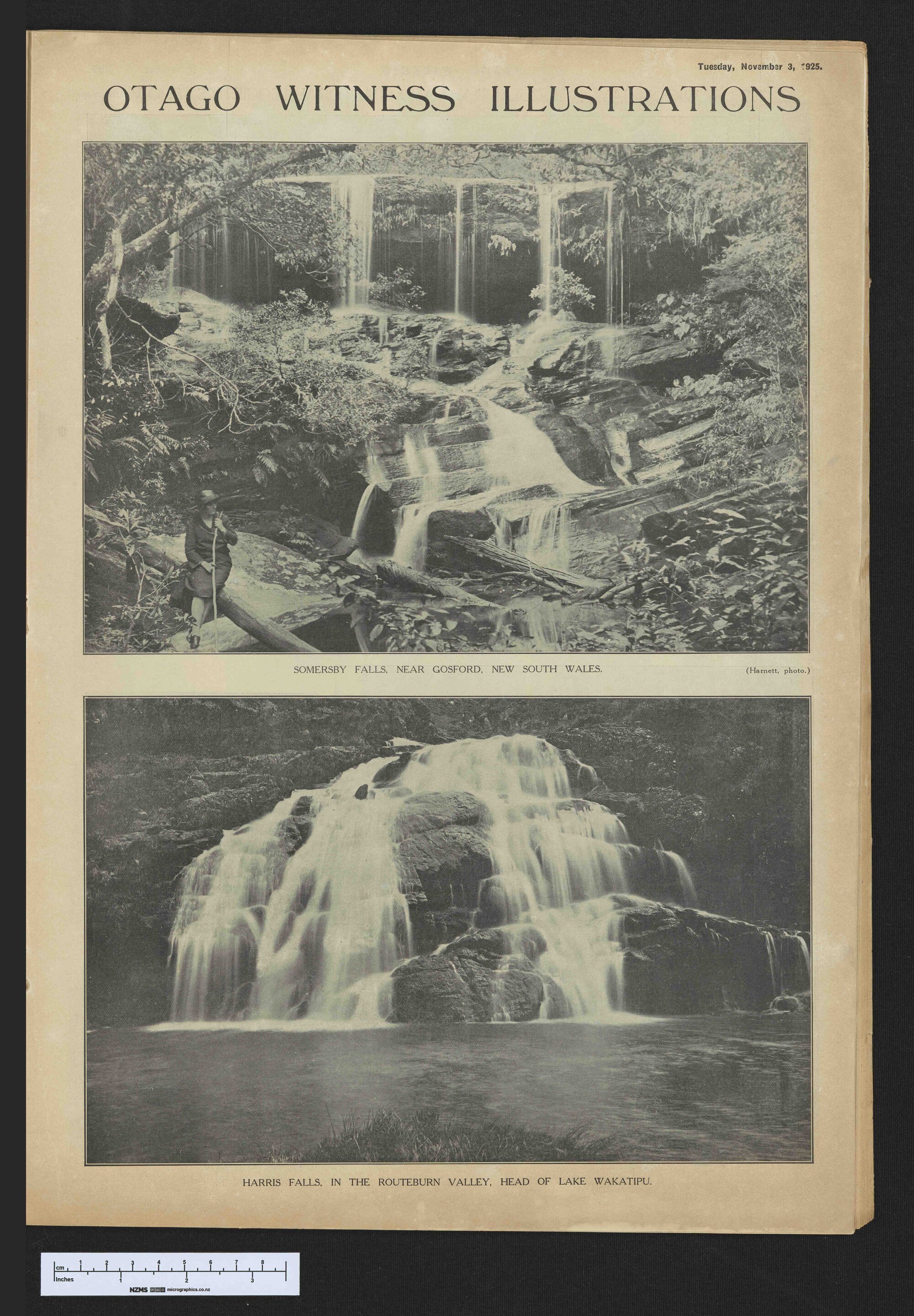 1925-11-03 Otago Witness