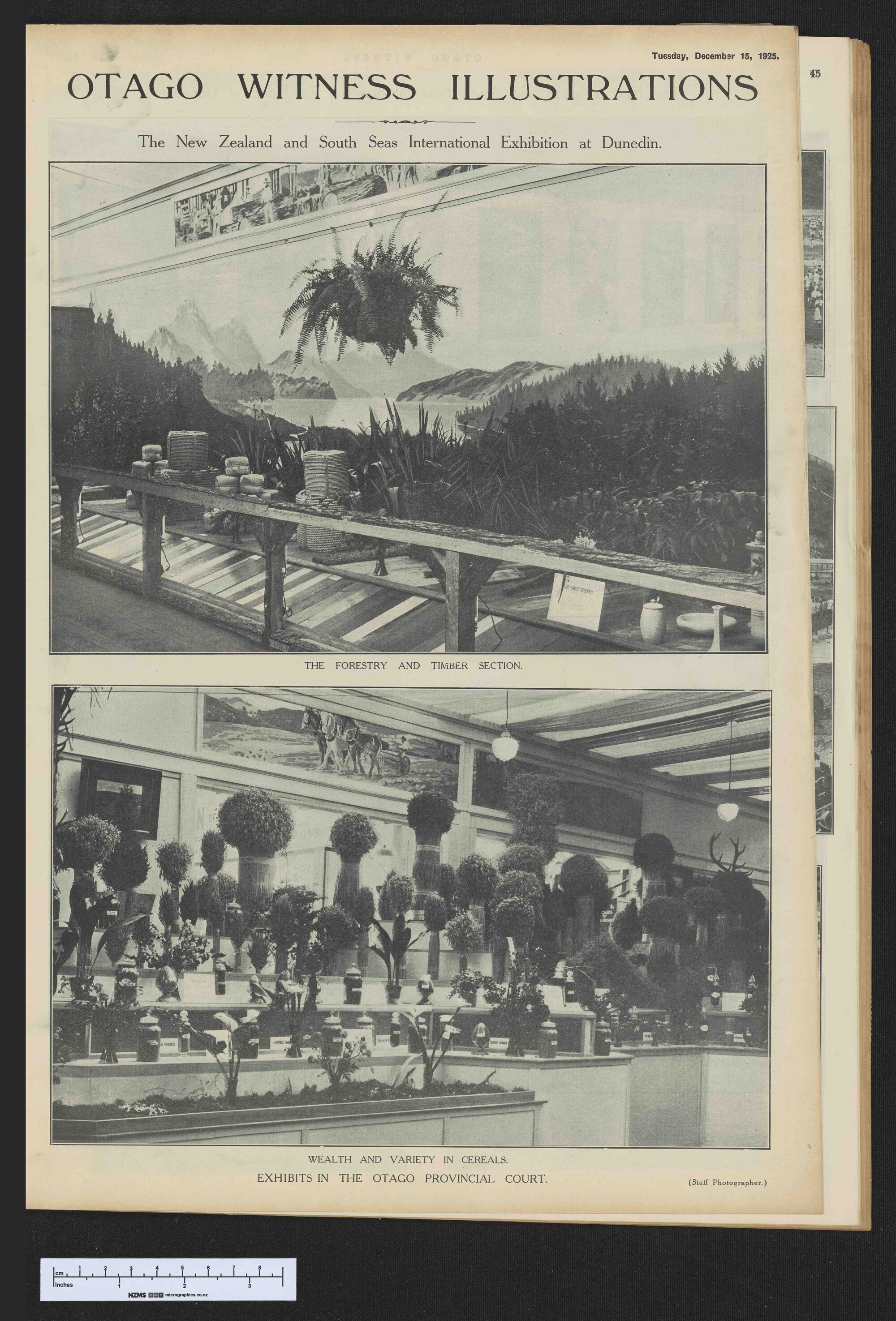 1925-12-15 Otago Witness