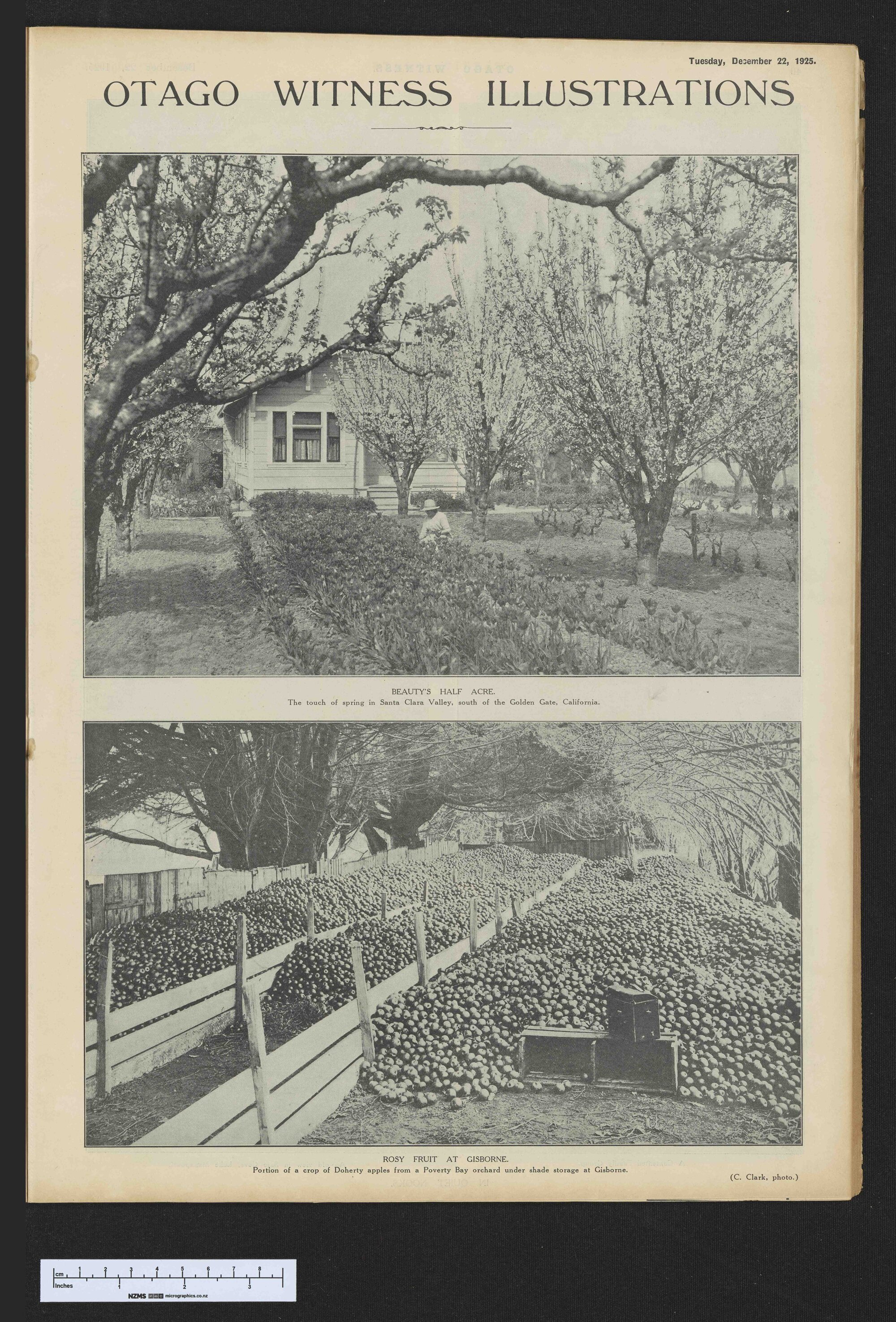 1925-12-22 Otago Witness