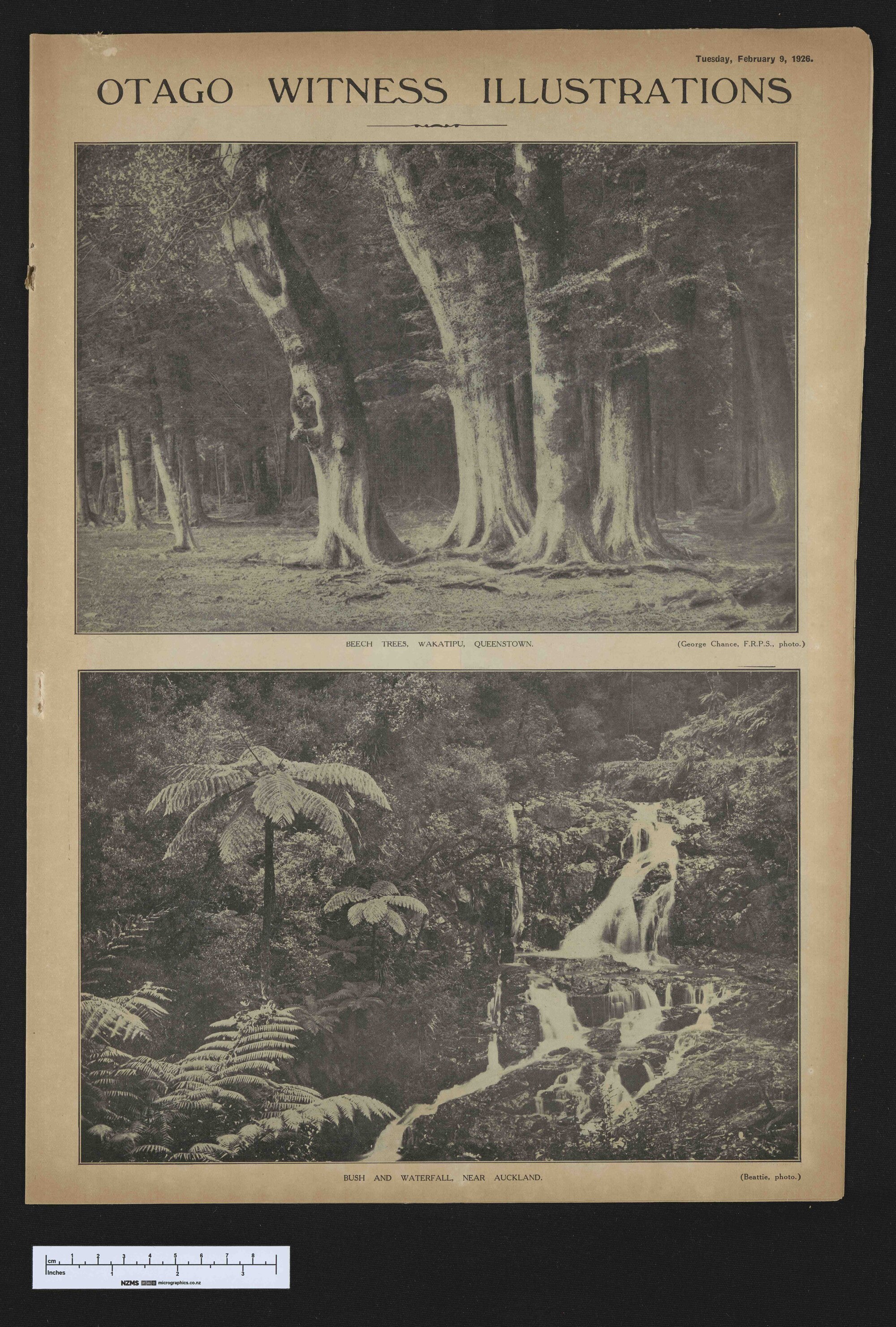 1926-02-09 Otago Witness