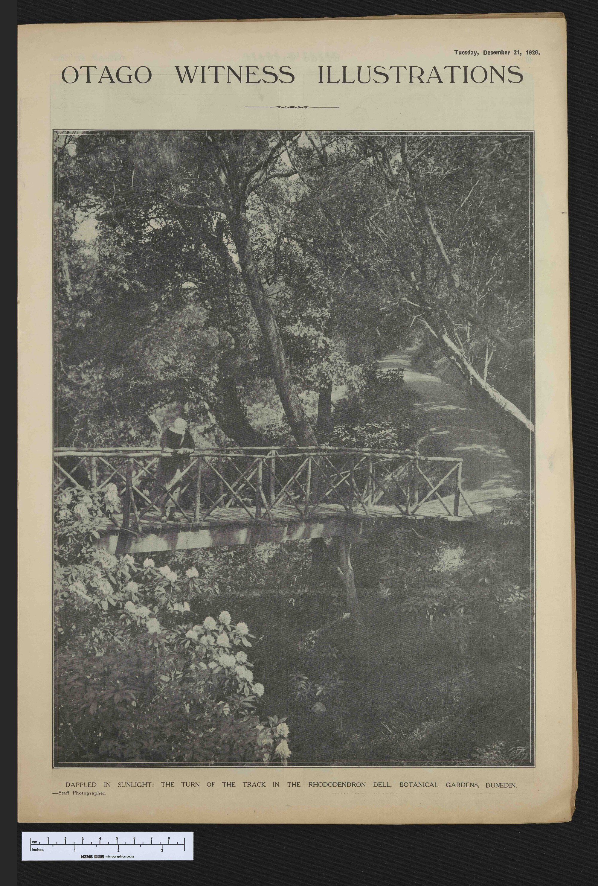 1926-12-21 Otago Witness