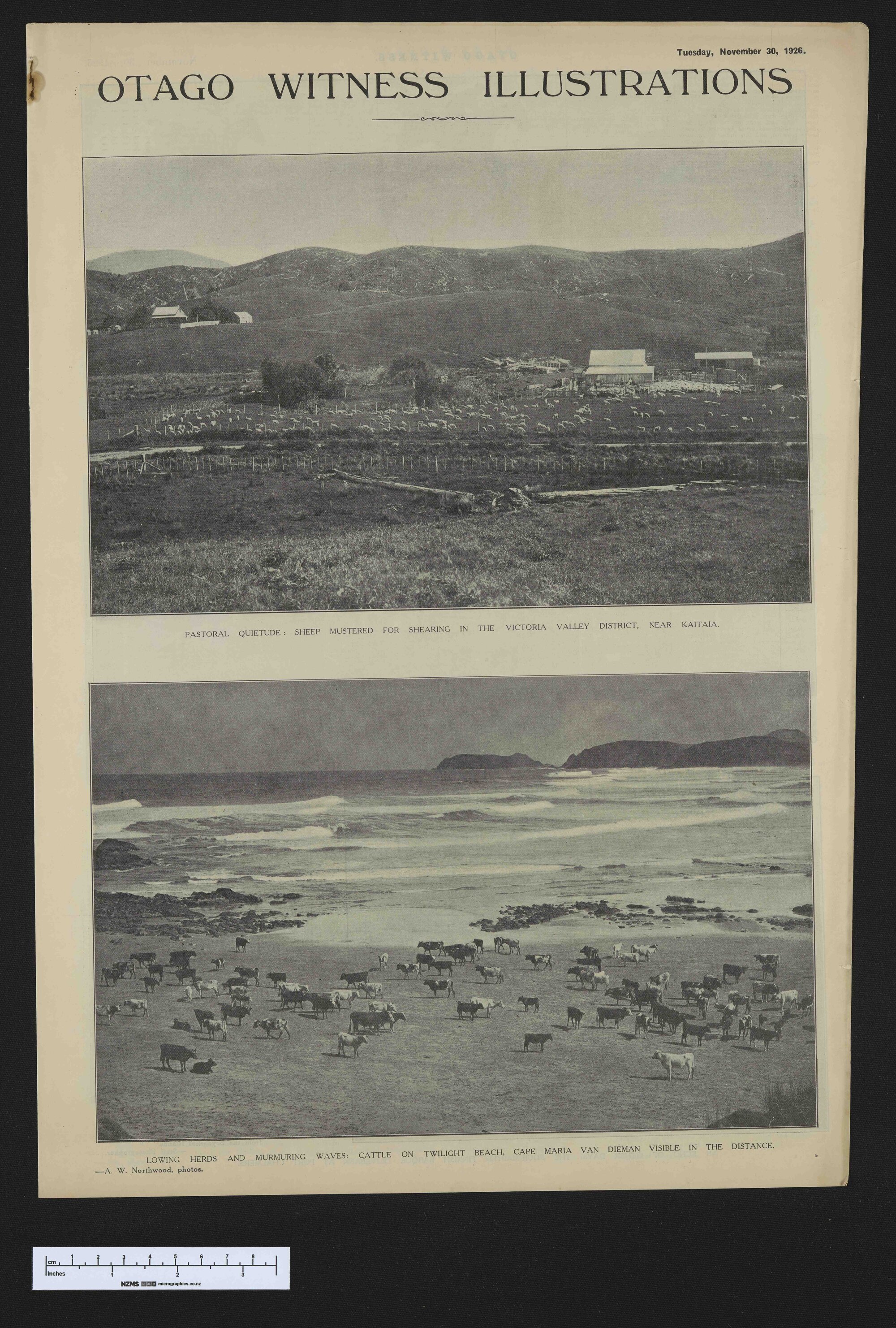 1926-11-30 Otago Witness