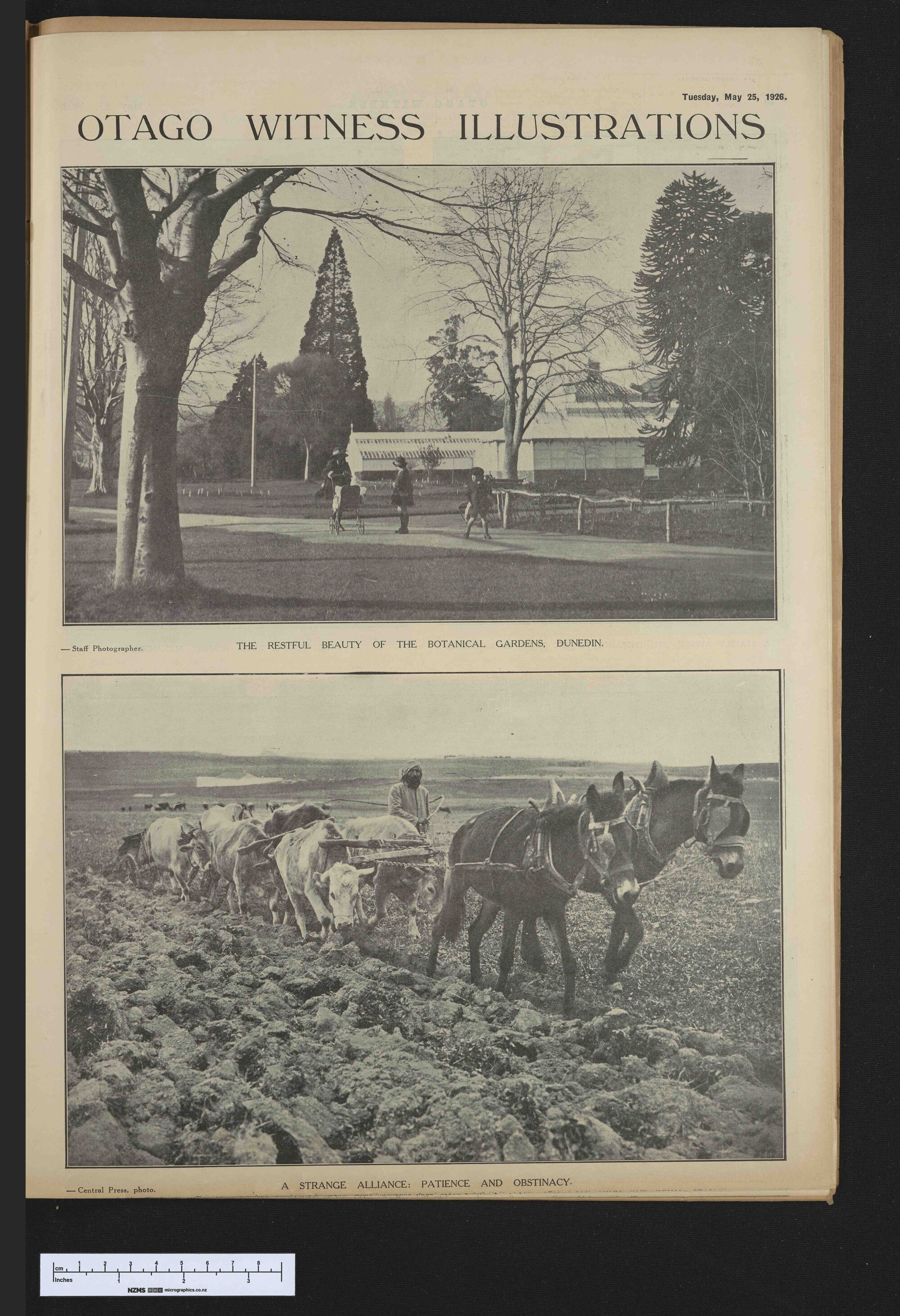 1926-05-25 Otago Witness