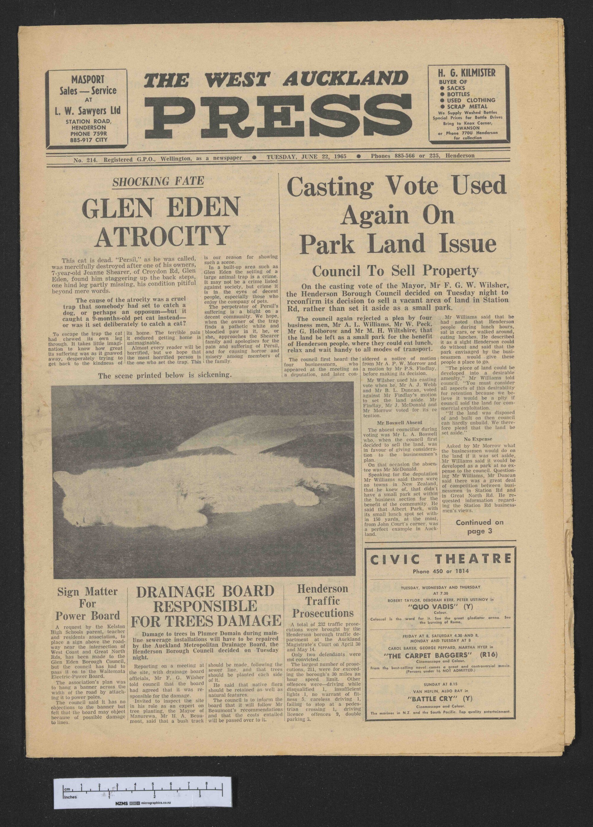 1965-06-22 West Auckland Press