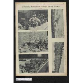 1900-10-03 Otago Witness