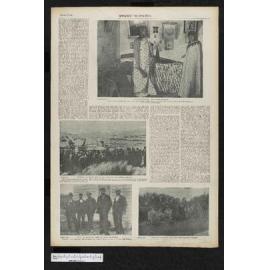 1900-10-17 Otago Witness