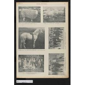 1900-12-12 Otago Witness