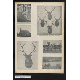 1900-12-19 Otago Witness