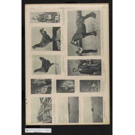 1901-06-19 Otago Witness