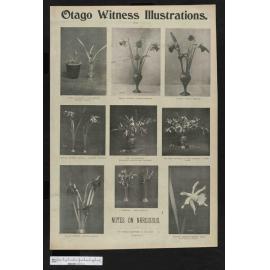 1901-10-02 Otago Witness