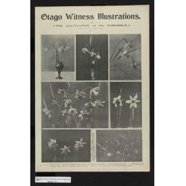 1901-10-09 Otago Witness