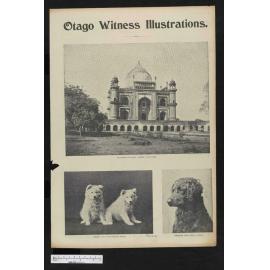 1902-07-16 Otago Witness