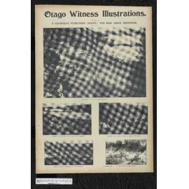 1902-10-22 Otago Witness