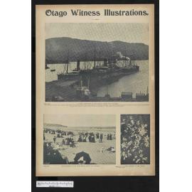 1902-10-29 Otago Witness
