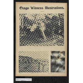 1902-11-19 Otago Witness