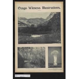 1902-12-17 Otago Witness