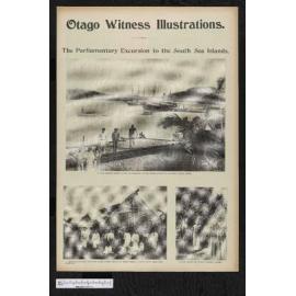 1903-06-24 Otago Witness