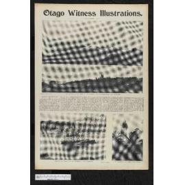 1903-07-22 Otago Witness