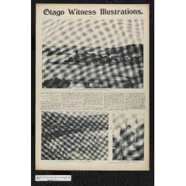 1903-08-05 Otago Witness