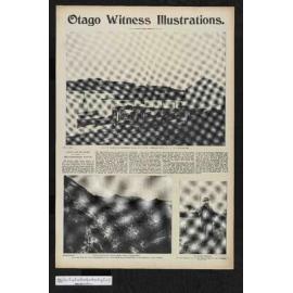 1903-08-19 Otago Witness