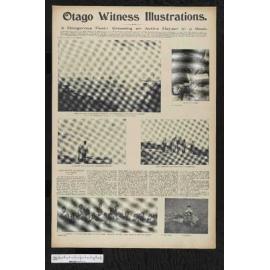 1903-08-26 Otago Witness