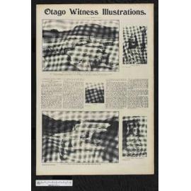 1903-10-14 Otago Witness