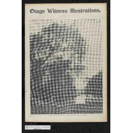 1903-11-04 Otago Witness
