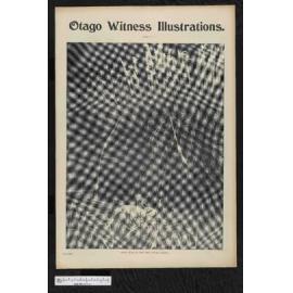 1903-11-18 Otago Witness