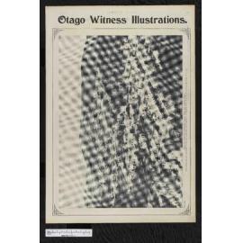 1903-11-25 Otago Witness
