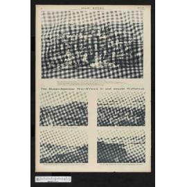 1904-07-06 Otago Witness