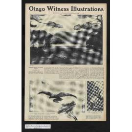 1904-09-26 Otago Witness