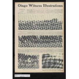 1904-10-26 Otago Witness